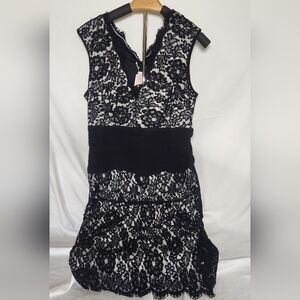 Vintage TADASHI Shoji Sheath Dress, size 14